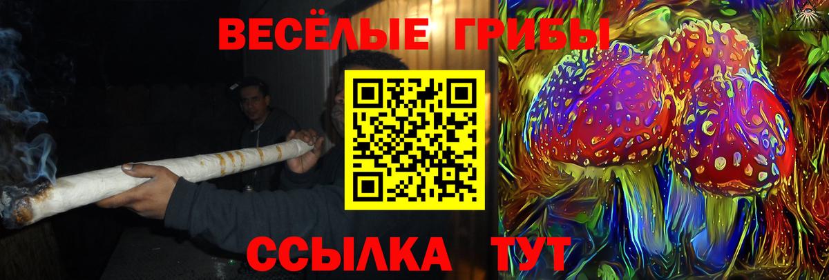 Псилоцибиновые грибы Magic Shrooms Советский